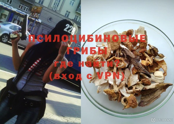мяу мяу мука Каменногорск