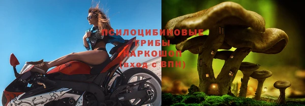 каннабис Болхов