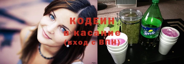 сатива Болотное