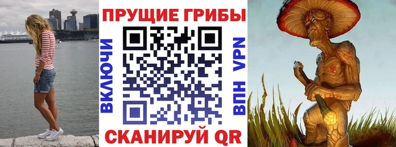 Псилоцибиновые грибы MAGIC MUSHROOMS  Купить где  Мирный 